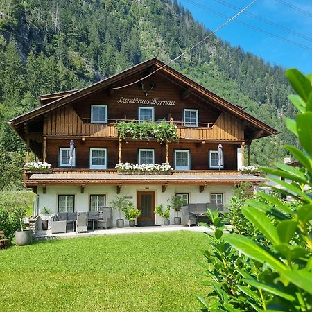 Landhaus Dornau Apartments مايرهوفن المظهر الخارجي الصورة